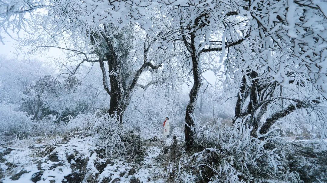 視界高質量雪景雲南出品